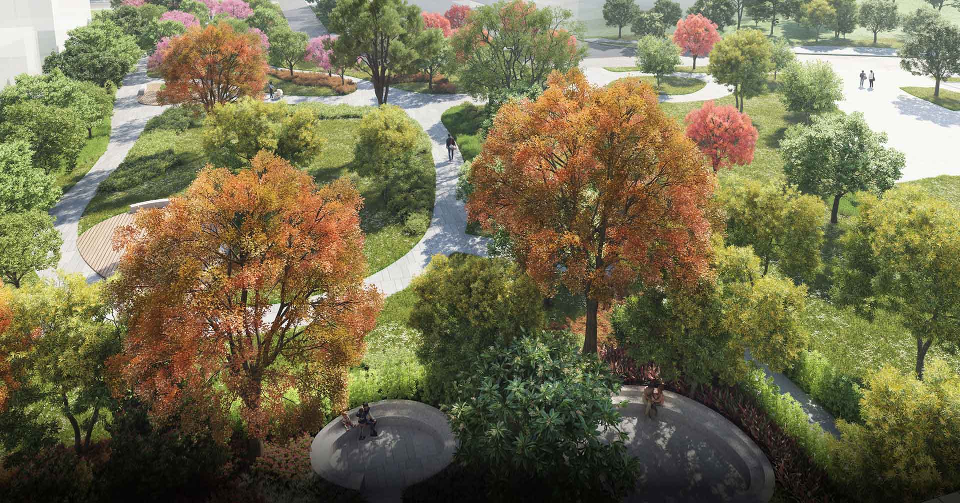 自高處俯瞰中庭花園的環形步道與喬木 3D 示意圖